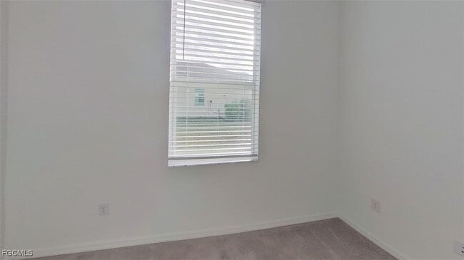 Photo - 43821 Seedling Ter