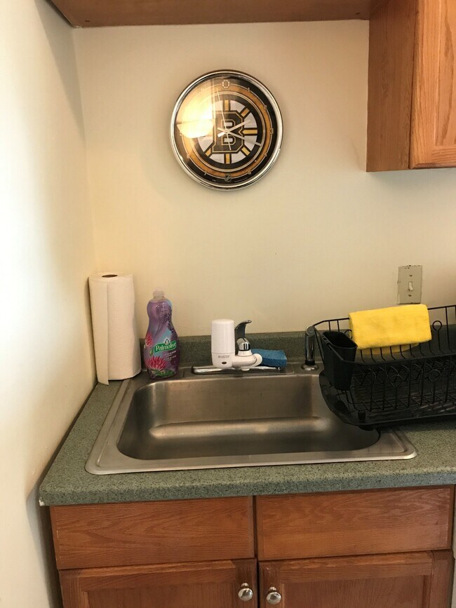 86 Prentiss St Condo Unit 1 Condo for Rent in Watertown Town, MA