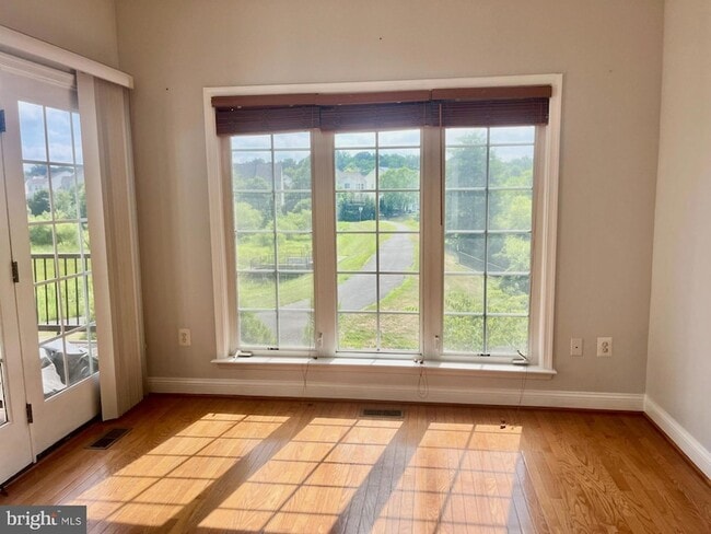 Photo - 5370 Blue Aster Cir