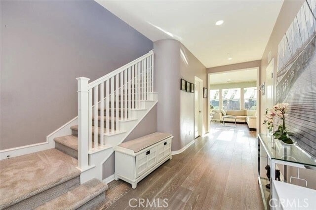 Photo - 83 Waterleaf