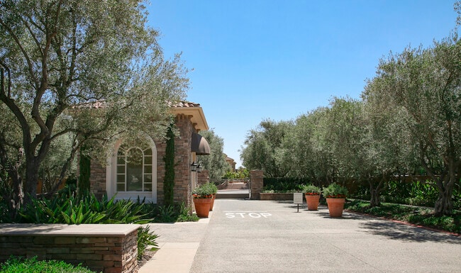 Newport Bluffs Apartment Village