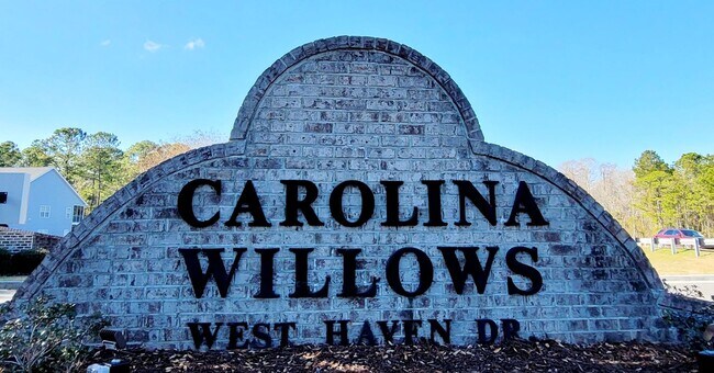 Photo - Carolina Willows in Carolina Forest