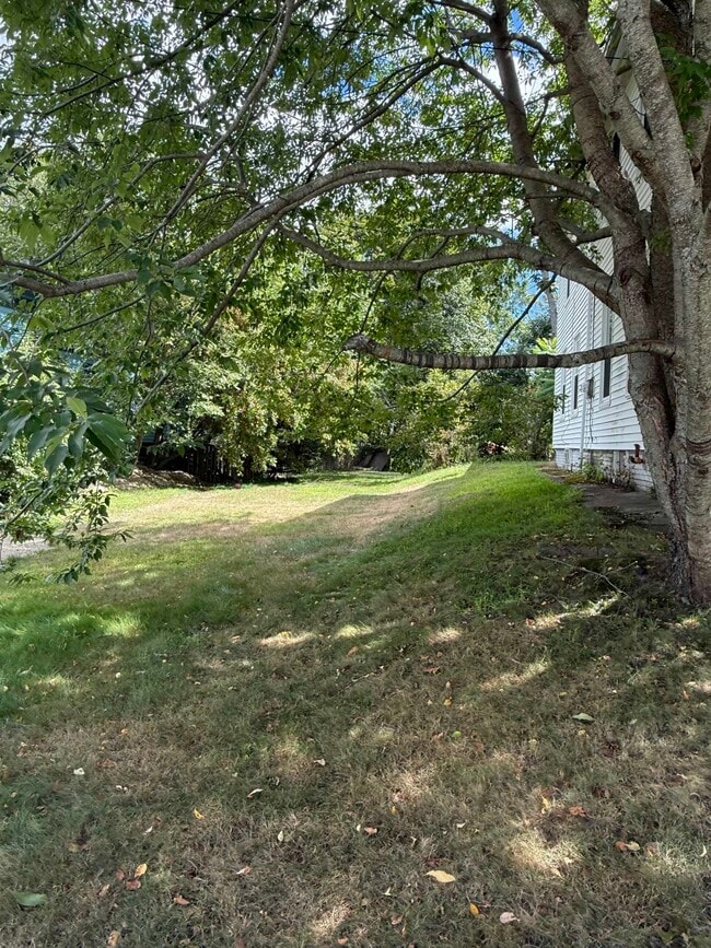 Photo - 29 Hall Pl