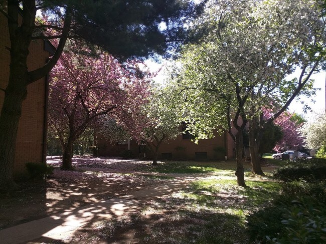 KNOLLWOOD GARDENS/ NO PETS ALLOWED