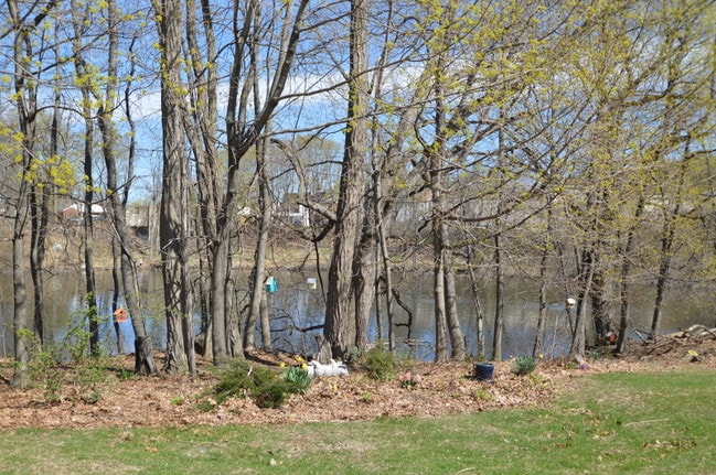 Vista del estanque - Kings View Apartments