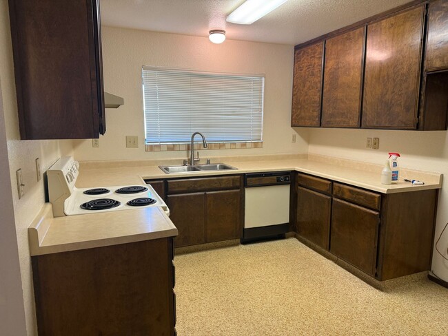 Photo - Holly Unidad Holly