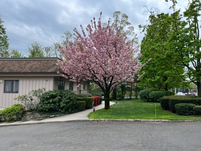 Photo - 11 Maple Ave (Greenwich, CT)