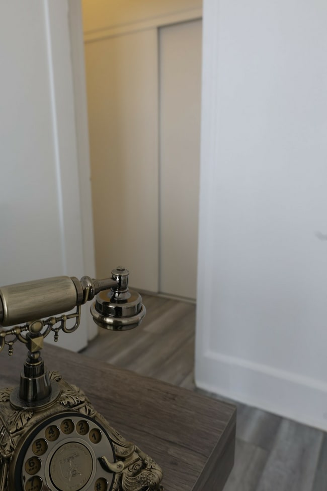 Photo - Wicklow Common