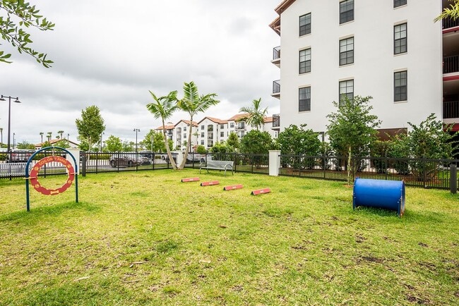 Rover Dog Park