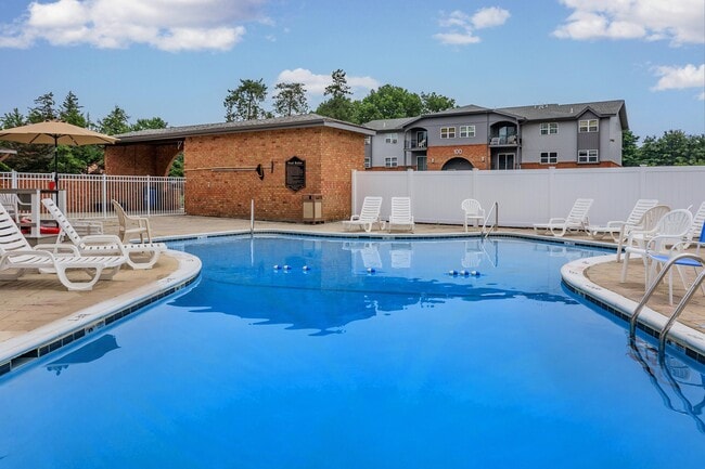 Photo - London Square & Blue Spruce