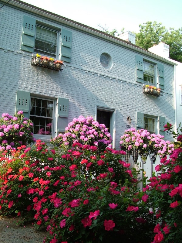 Photo - 4514 Albemarle St NW