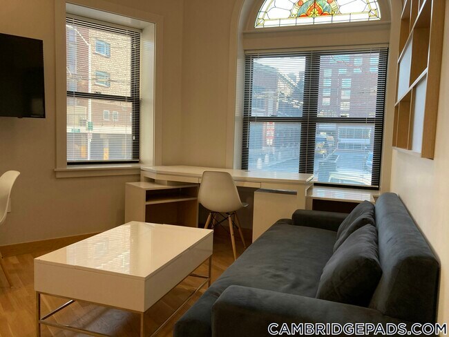 Photo - 115 Mt Auburn St Unidad 15