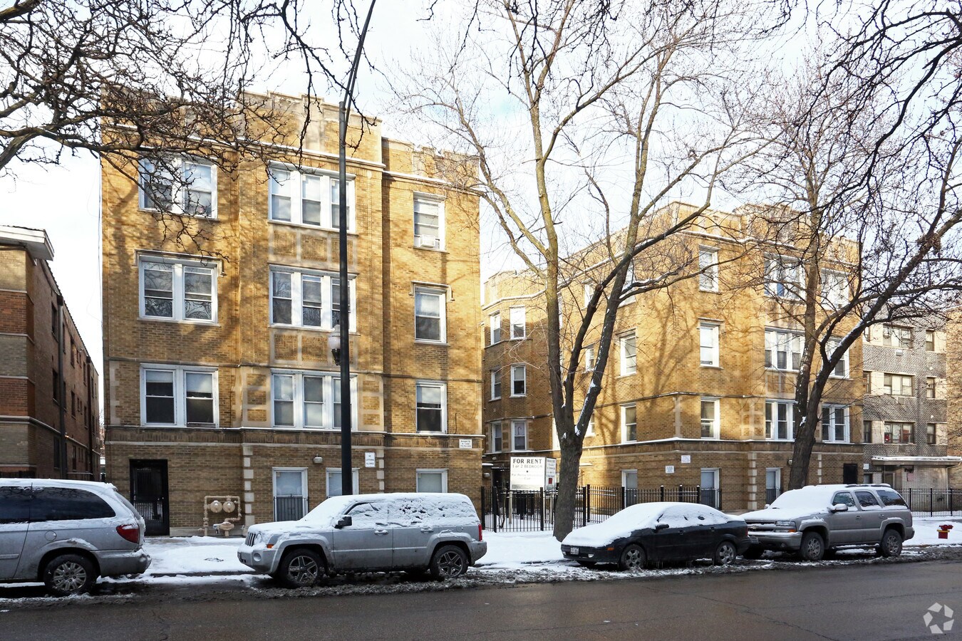 Rogers Park Apartments - Rogers Park Apartments