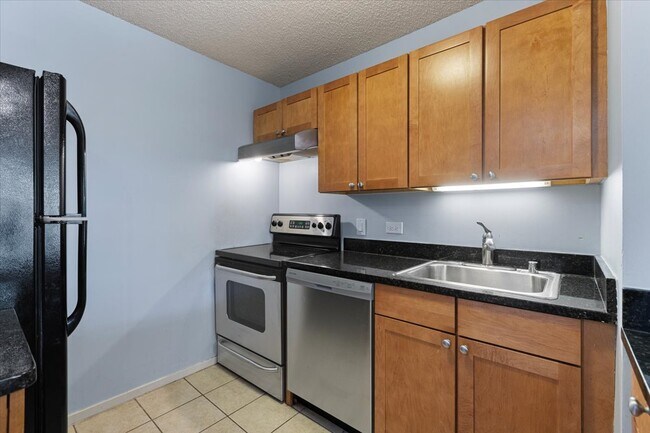 Photo - 30 E Huron St Unidad 2003