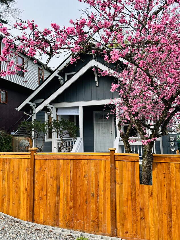 Photo - 1554 S Atlantic St (Seattle, WA)