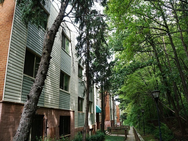 Kings Square Apartments