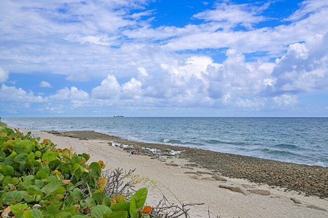 Building Photo - 4200 N Ocean Dr Unit 2-304 Rental