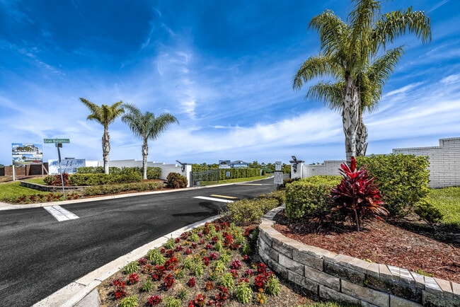Citrus Vista