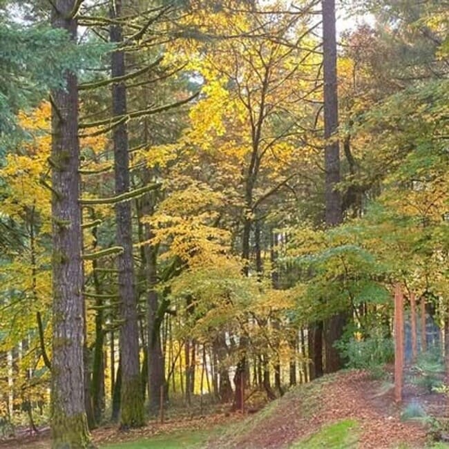 Photo - Beautiful Large 1 Bedroom Apartment in McMinnville