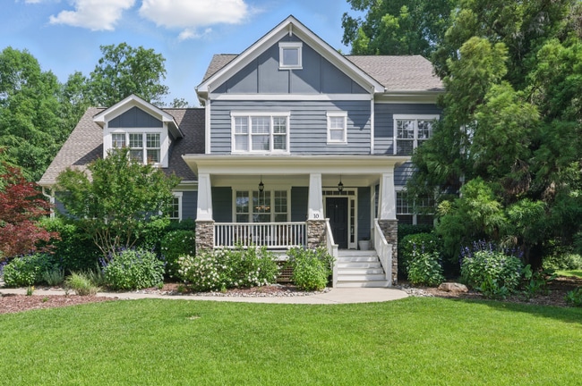 Photo - 10 Brown Bear