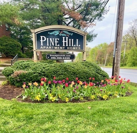 Photo - Pine Hill Apartments