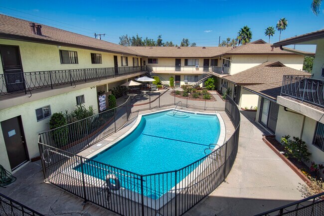 Sparkling Pool - Villa Placentia