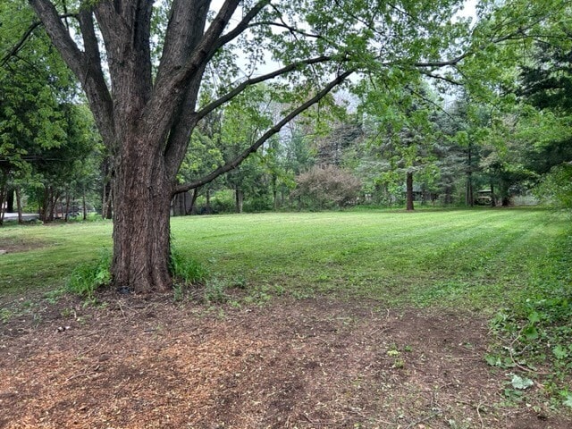 Photo - 6310 Abraham Dr