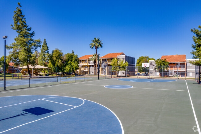 BASKETBALL COURT