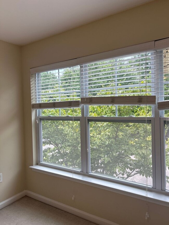 Photo - 05-203 Doddi Unidad 05-203 - A