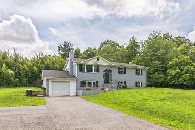 Building Photo - Pet Friendly Mid-Century Modern 4/Bedroom,... Rental