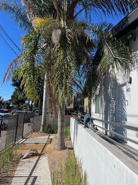 Building Photo - 823 W 43rd Pl Rental
