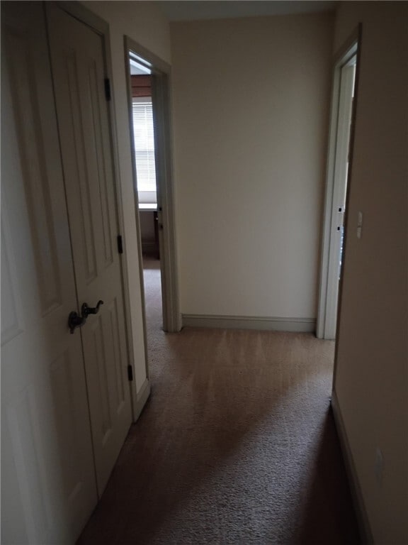 Photo - 203 Kelly Rd Unit #224