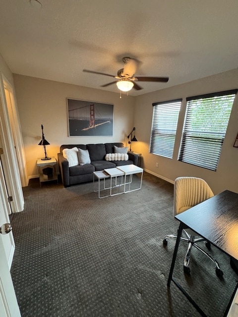 Photo - 62 Morning Mimosa Ct