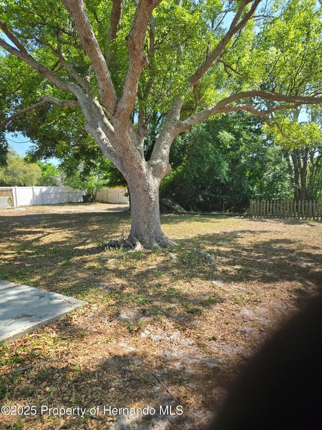 Photo - 1049 Barlow Ct Casa