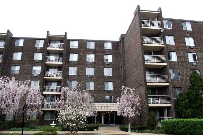 Building Photo - 225 S Rohlwing Rd Unit 607