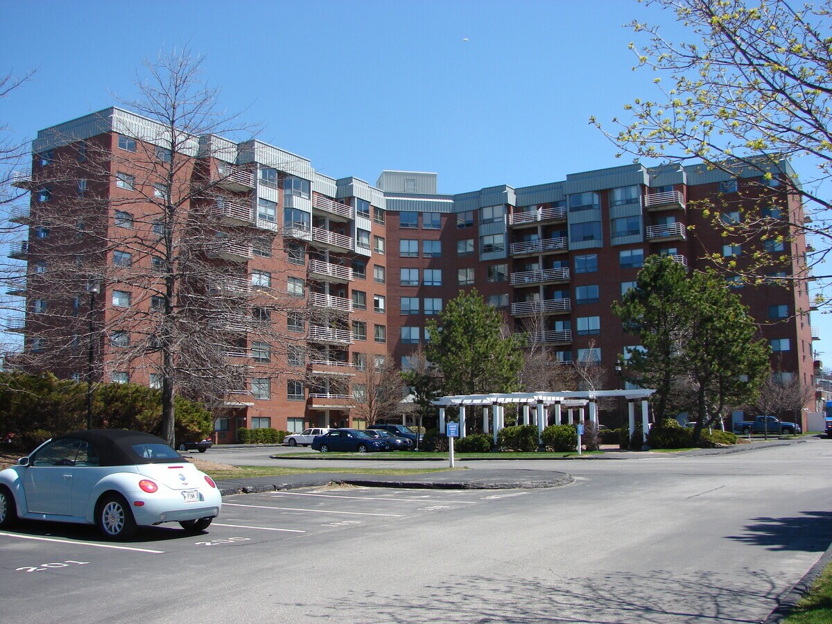 Photo - Breakwater at Spring Point