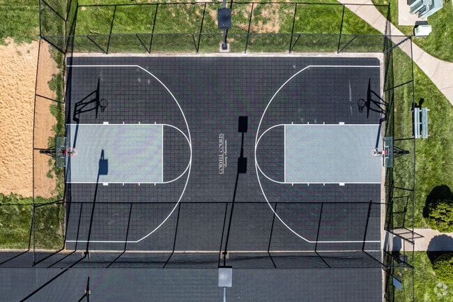 Basketball Court