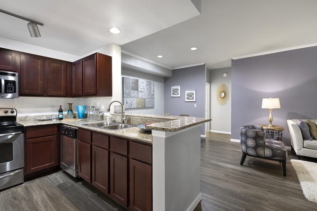 The Village At Gracy Farms apartments — community photo