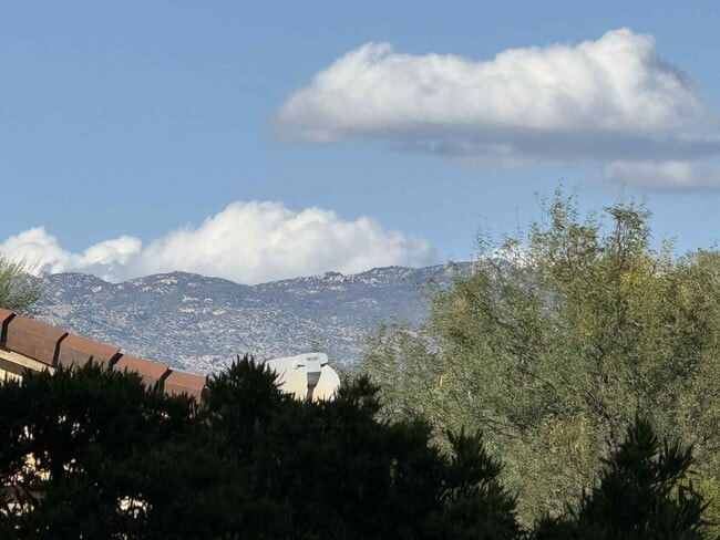 Photo - 13735 E Shadow Pines Ln