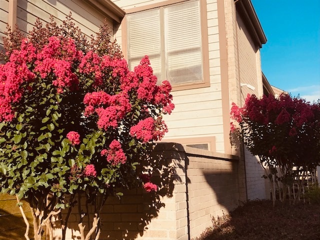 Photo - 8439 Sands Point Dr (Houston, TX)