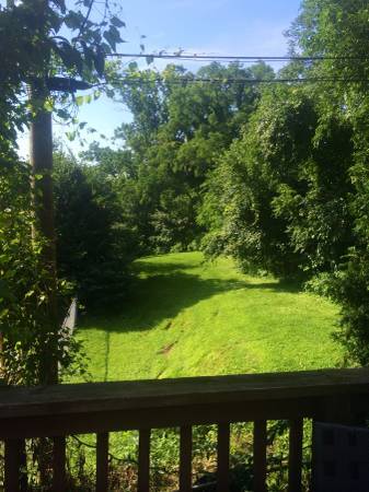 Photo - 314 W 31st St Apartments Unit B