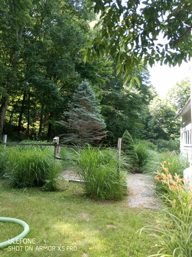 fire pit - 61 Christian St