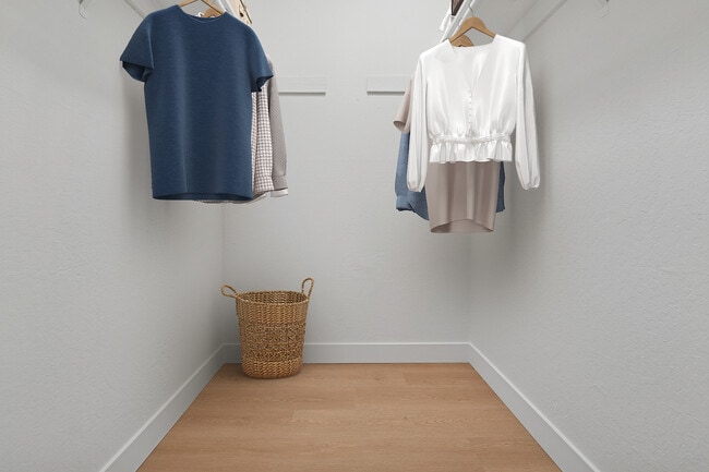 Walk-in closet