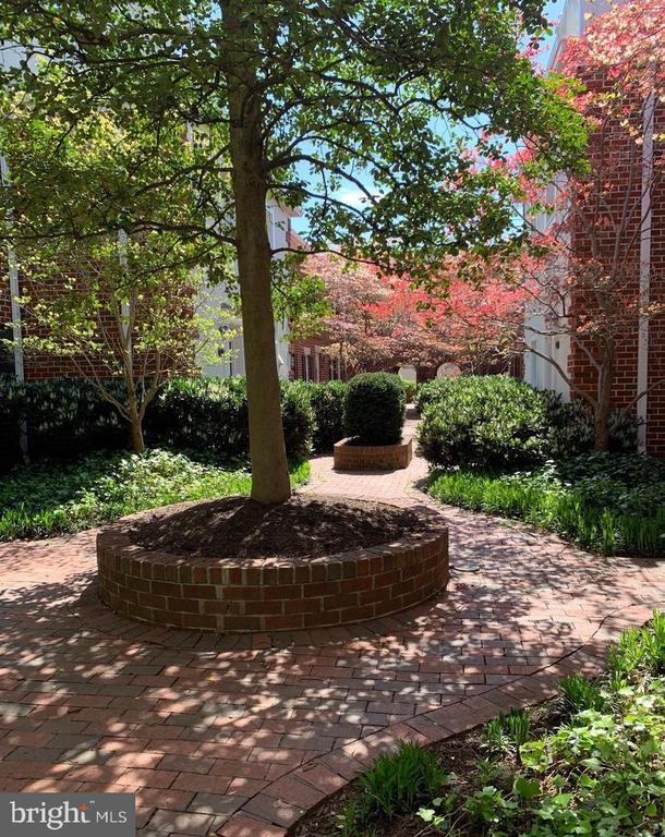 Photo - 1040 N Royal St