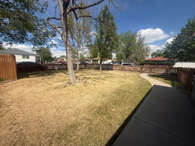 Photo - $0 DEPOSIT OPTION. CLASSIC CHARACTER MEETS COMFORT: 2-BED, 1-BATH IN AN INVITING TRIPLEX Unit 3003