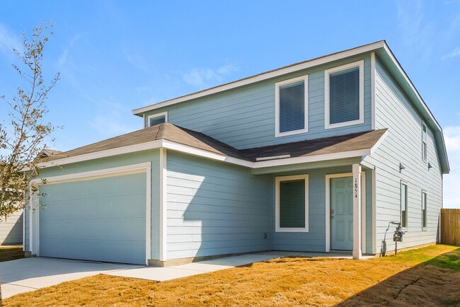 Photo - 1854 Musk Rose