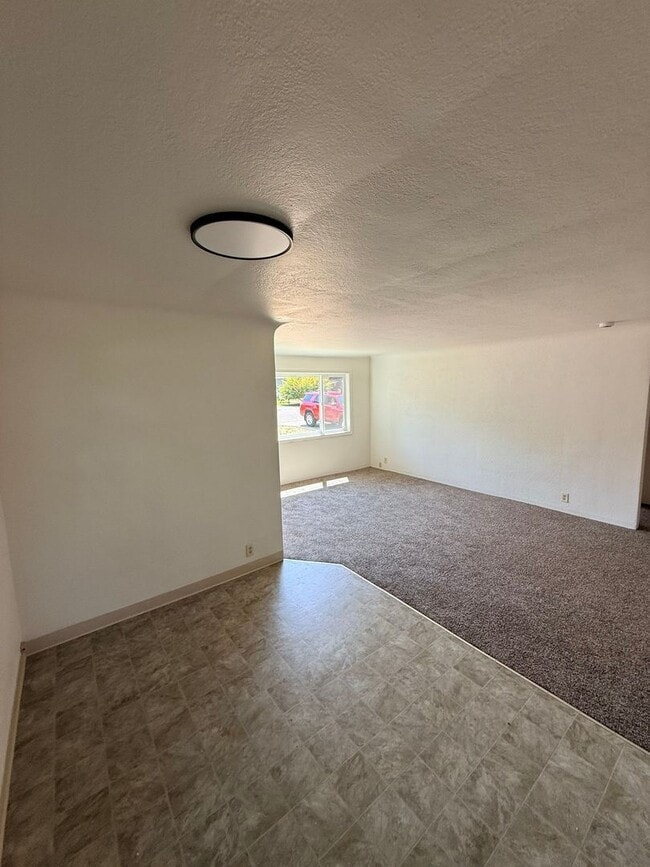 Photo - 1399 Maclay Dr