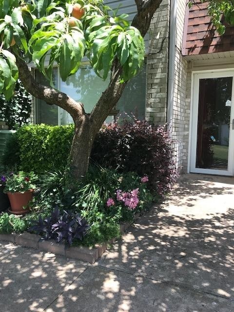 Photo - 2 bedroom 2bath townhome