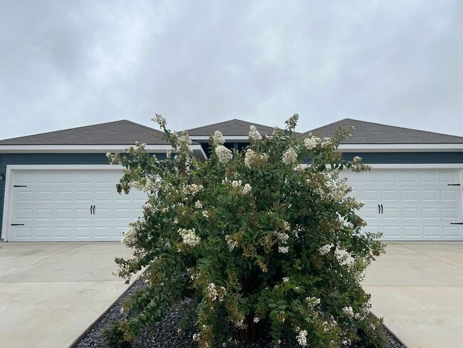 Building Photo - Luxury 3/2 Duplex in Seguin, Texas (Navarro ISD)