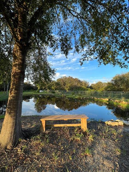 Photo - 175 Bald Cypress Ave